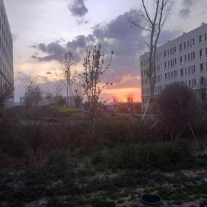 三个黑人和一个白人怎么念英语
