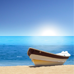 三个黑人和一个白人怎么念英语
