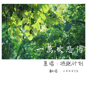 三个黑人和一个白人怎么念英语
